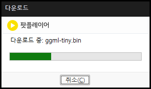 팟플레이어 실시간 자막 tiny 모델 다운로드 화면